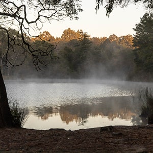 Mt Macedon - Image 5