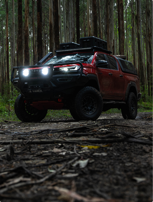 SR5, Rogue & Rugged X