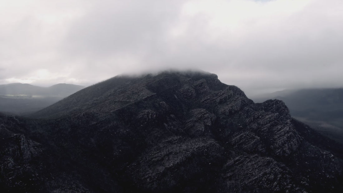 Dexon Website Home Page intro Video